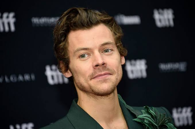 Where does harry Styles Stay in chicago: Chasing Stardust