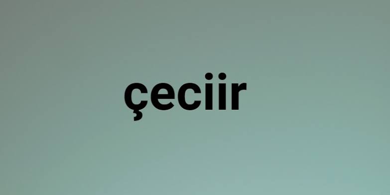 The Origins and History of Çeciir