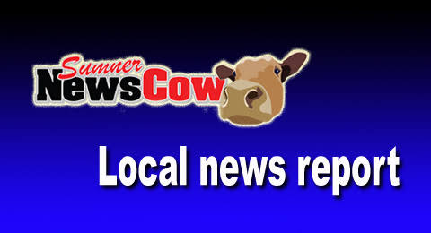 Sumner News Cow