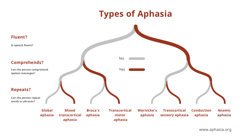 Types of Aphasia
